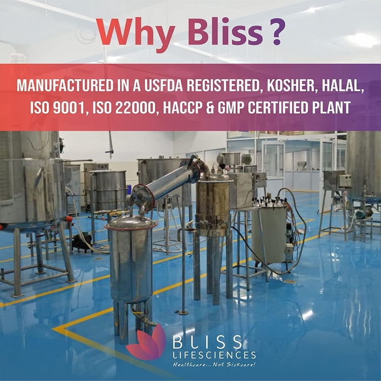 best manufacturer and certificate plant