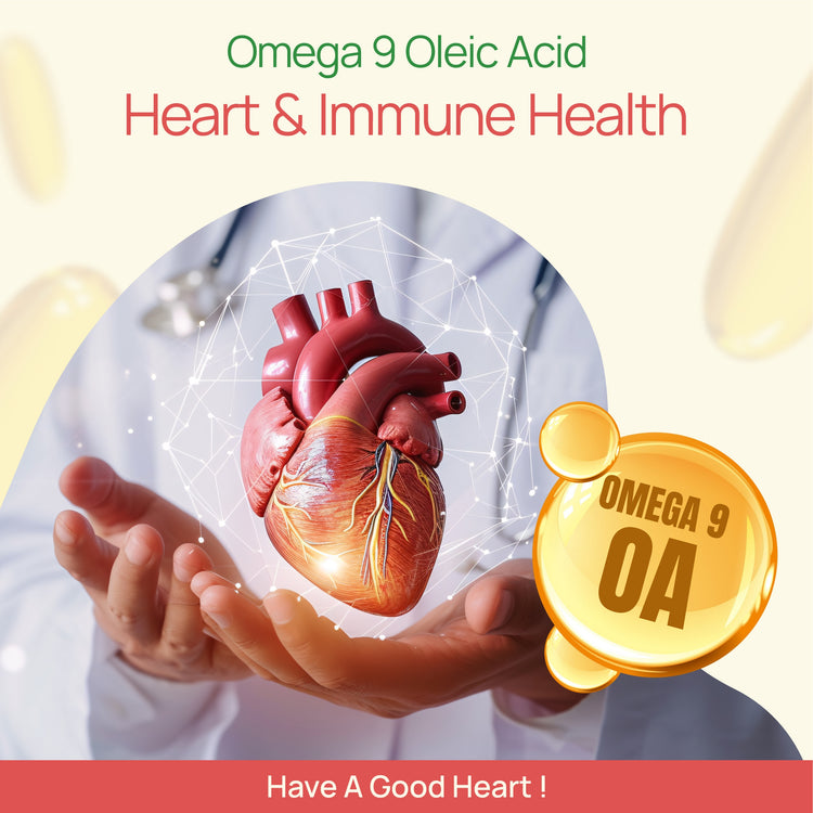 Illustration of a heart held in hands with Omega 9 Oleic Acid label and text about heart and immune health.