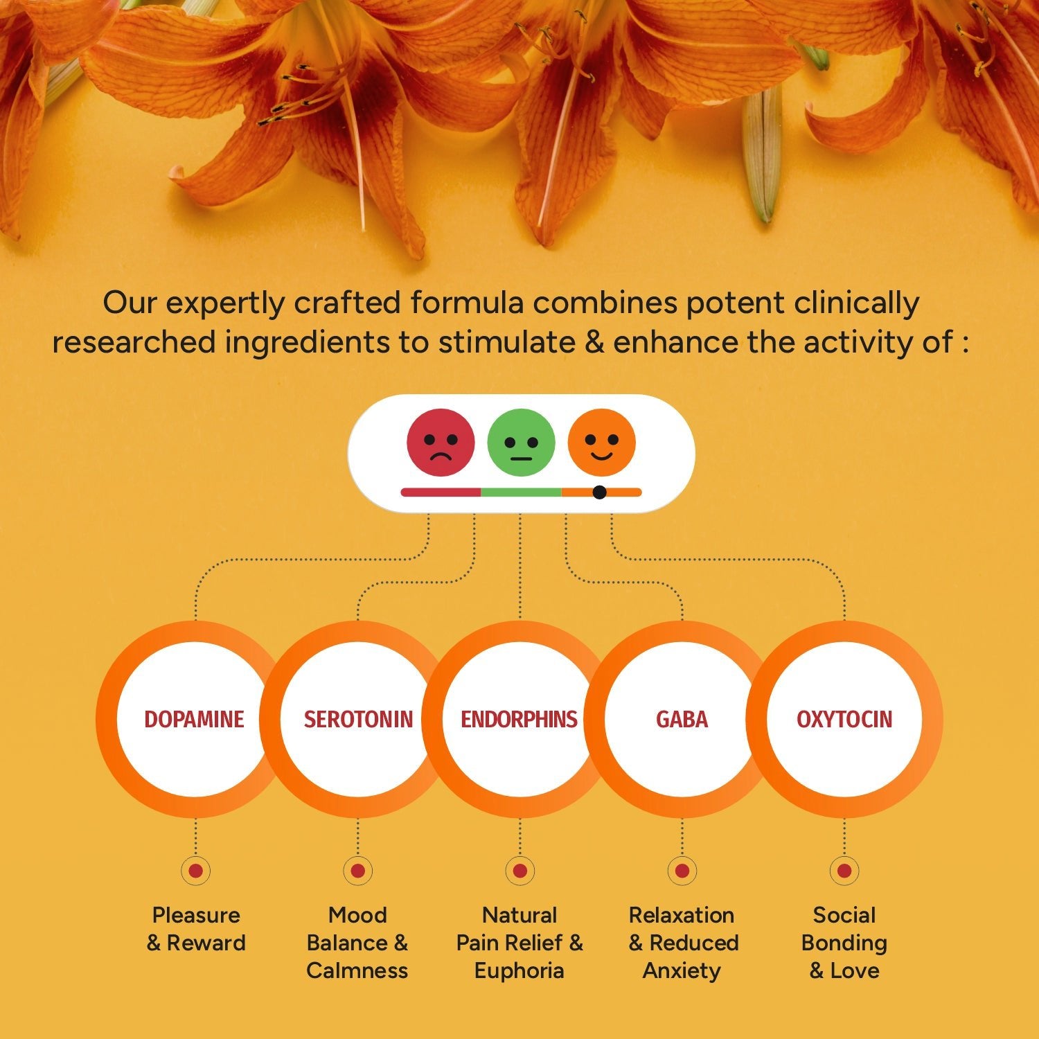 Bliss Welness Happy Bliss : Happiness, Anxiety & Stress Relief Supplement | Supports Calmness, Mood and Happy Hormones | Supports Balance of Cortisol, Dopamine, Endorphins, Serotonin & Oxytocin |Memory, Love & Cognition Support : 30 Servings - Bliss Welness