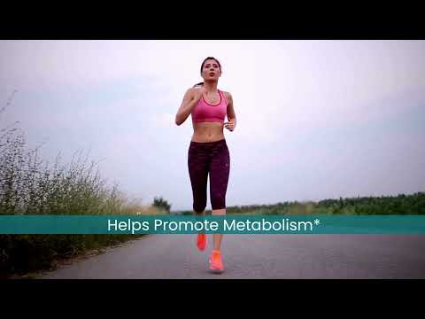 gut detox probiotics,trikatu,avipattikar