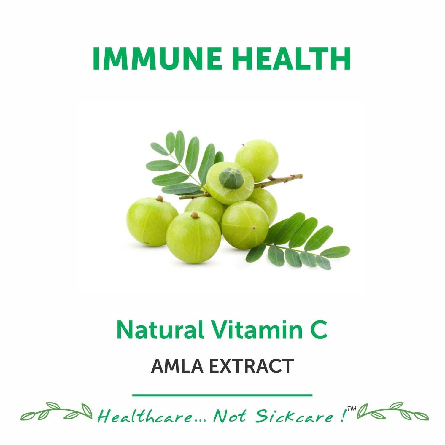 Bliss Welness ImmuneBliss Immunity Booster Glowing Skin | Natural Vitamin C (Amla Extract) 1000mg | Immunity Boost Antioxidant Skin Care Supplement - Vegan Tablets - Bliss Welness
