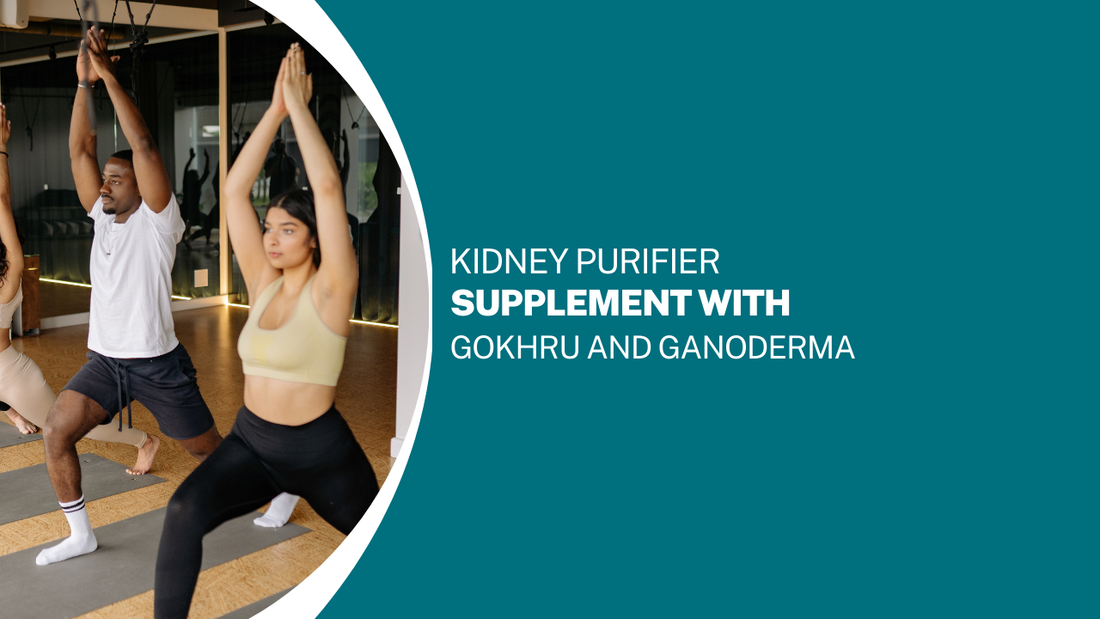 Kidney Purifier Supplement with Gokhru and Ganoderma: A Natural Solution for Optimal Kidney Health
