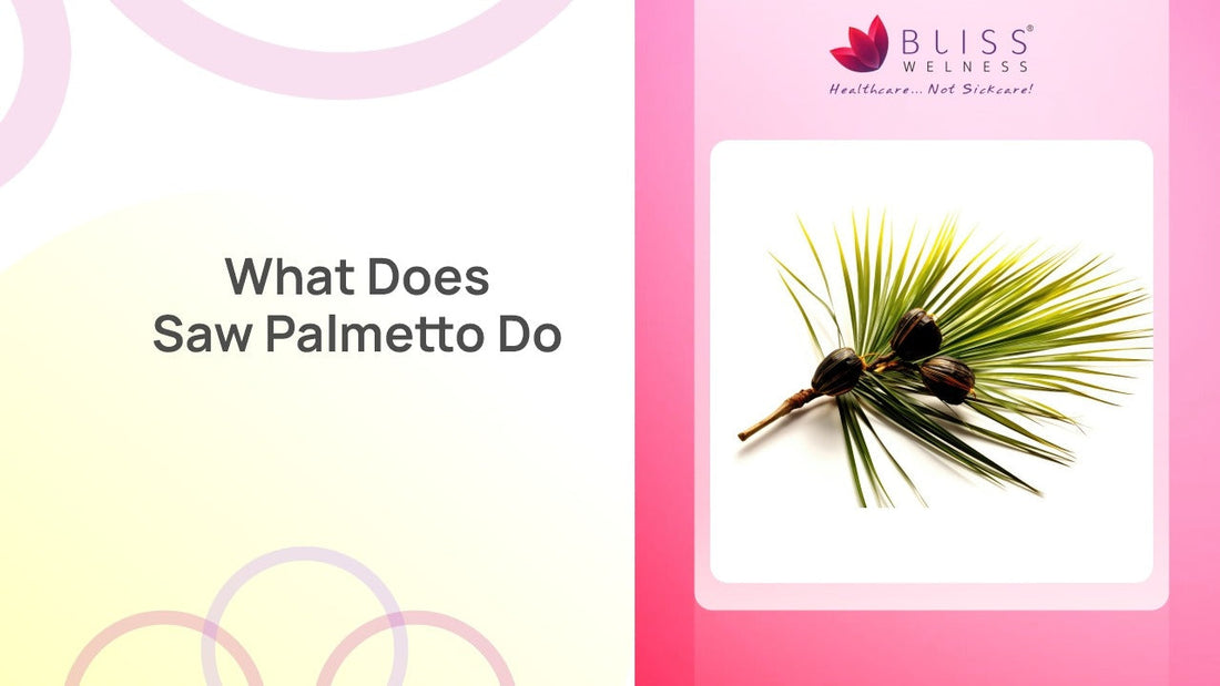 What Does Saw Palmetto Actually Do in the Body?