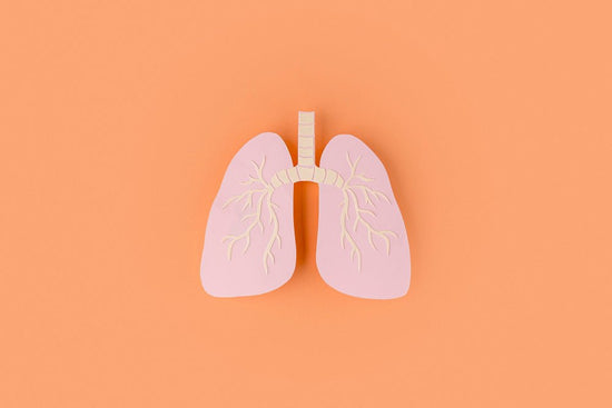 Air Pollution: Here’s Why and How to detox your Lungs - Bliss Welness