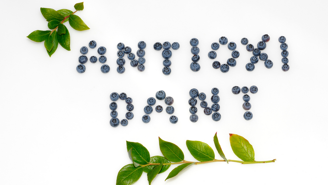 80% CLA & Green Coffee Bean Extract: A Powerful Antioxidant Partnership