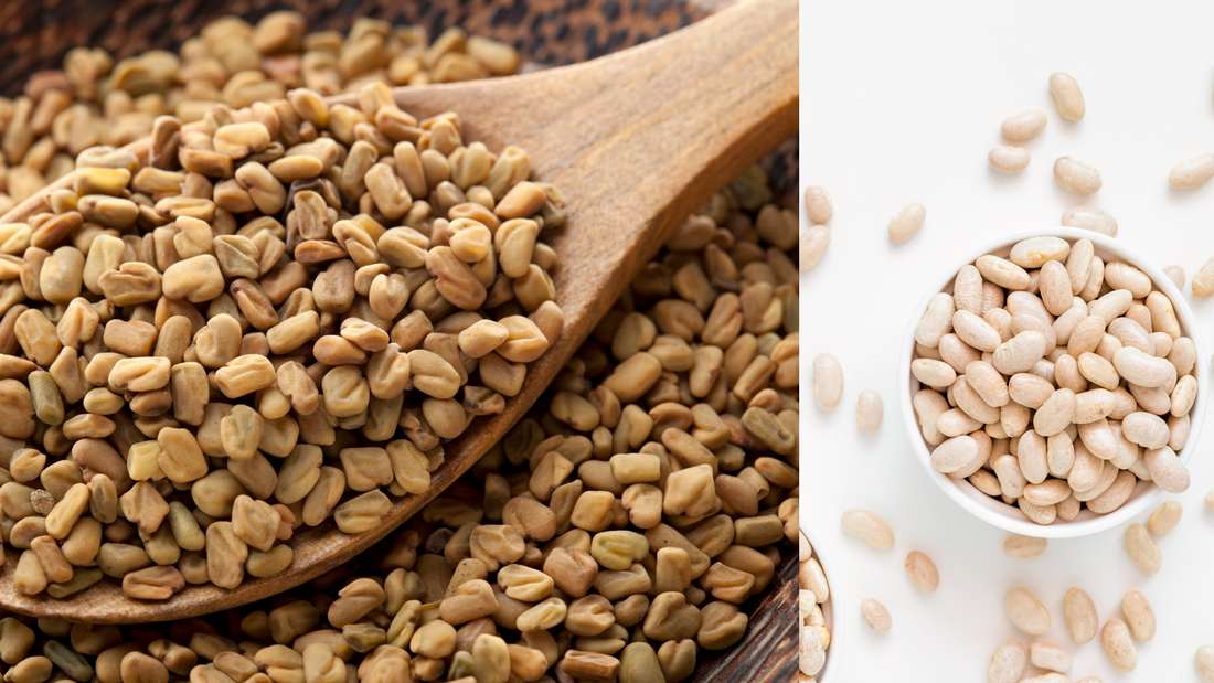 Enhancing Satiety with Fenugreek Extract Galactomannan Fiber and White Kidney Bean Extract Phaseolamin