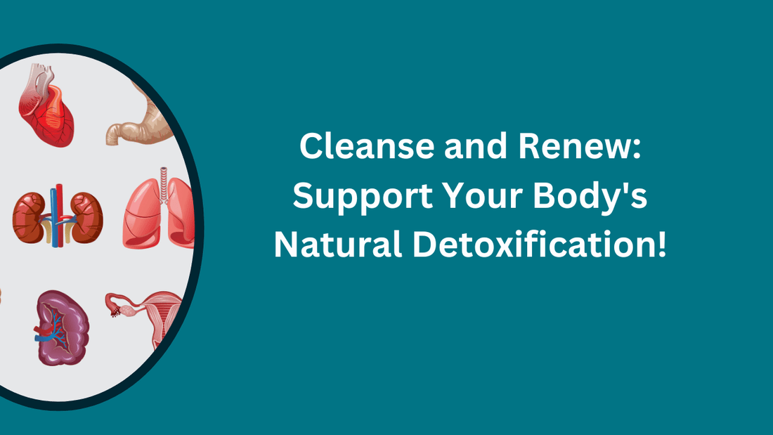 Boost Your Body's Detox: Top Natural Methods for Kidney and Liver Health - Bliss Welness