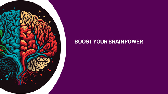 Boost Your Brainpower: A Natural Approach with Ginkgo Biloba, Shankhpushpi, and Brahmi - Bliss Welness