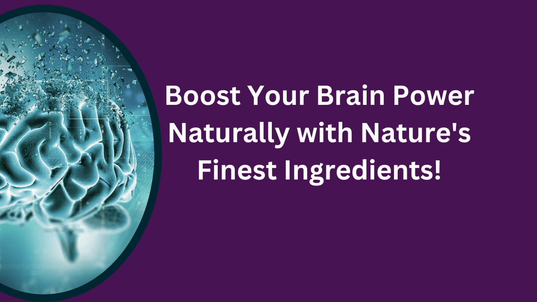 Discover the Best Brain Health Supplements for Cognitive Function and Mental Clarity - Bliss Welness