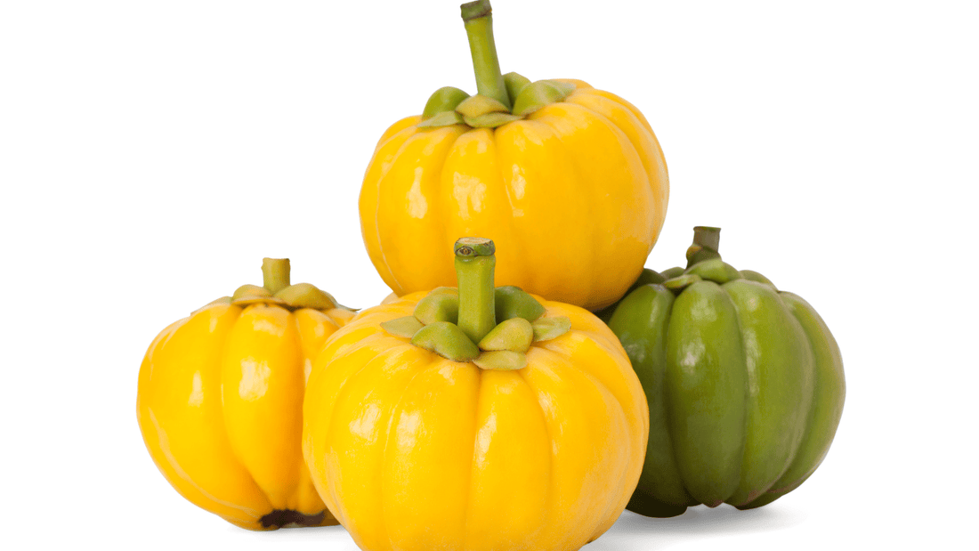 Garcinia Cambogia 60% HCA: A Natural Solution for Managing Serotonin Levels in the Brain - Bliss Welness