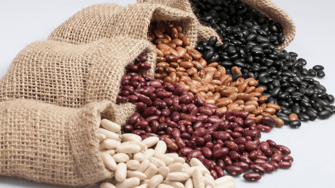 Green Coffee Bean, CLA, and White Kidney Bean Extract Phaseolamin: A Trio for Effective Weight and Sugar Management - Bliss Welness