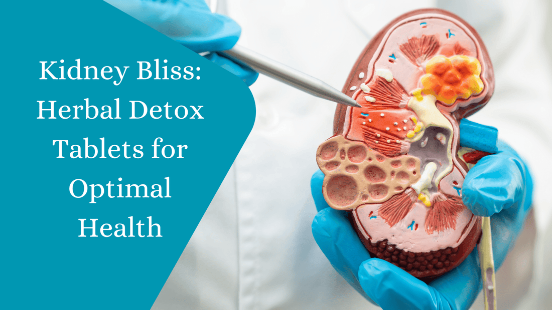 Kidney Bliss: Herbal Detox Tablets for Optimal Health - Bliss Welness