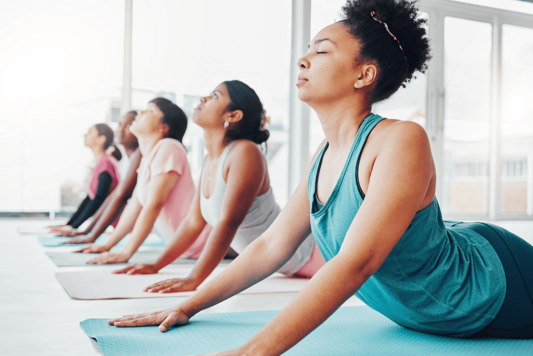 Lactation Support, Menopause Support, Immunity Booster, Shatavari Tablet, and Women's Health: A Comprehensive Guide - Bliss Welness