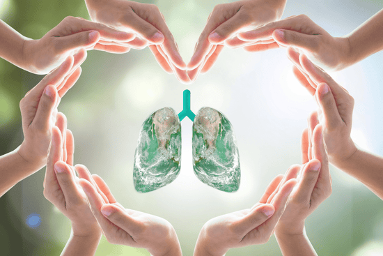 Lung Detox Supplements: A Comprehensive Guide to Respiratory Health - Bliss Welness