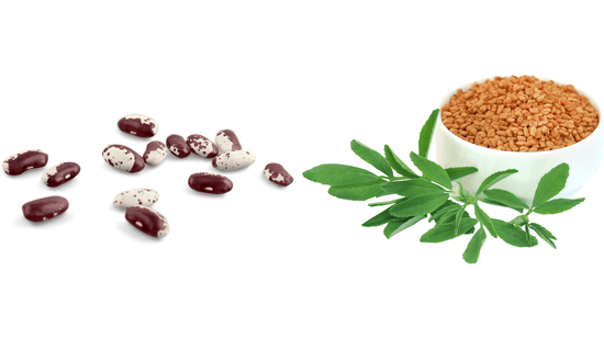 Minimizing Starch and Carbohydrate Absorption with Fenugreek Extract Galactomannan Fiber and White Kidney Bean Extract Phaseolamin - Bliss Welness