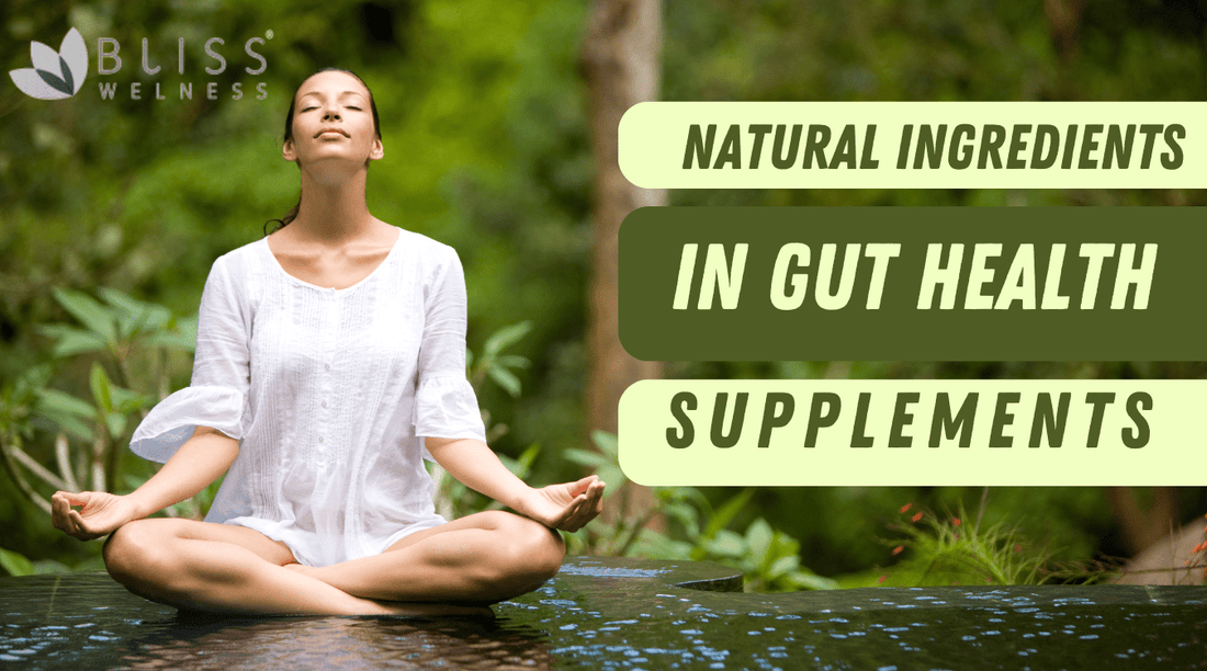 Natural Ingredients in Gut Health Supplements - Bliss Welness
