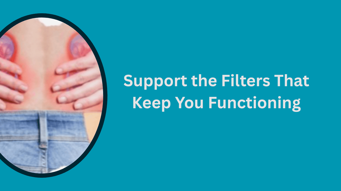 Natural Ways to Improve Kidney Health and Function - Bliss Welness