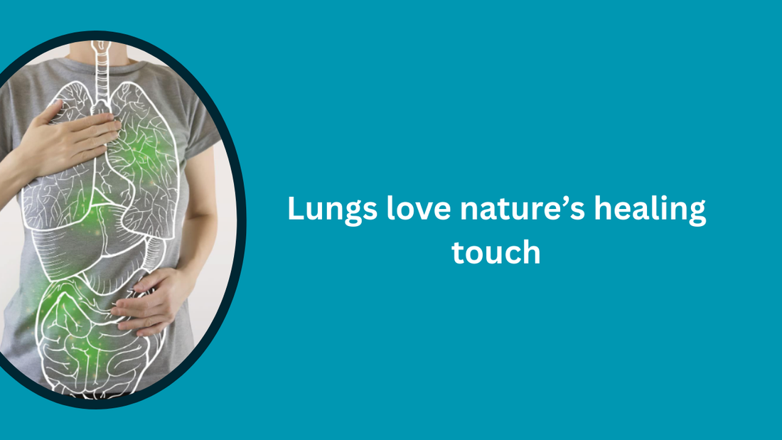 Herbal support for cleaner, stronger lungs