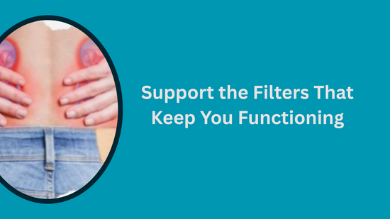 Support the Filters That Keep You Functioning.