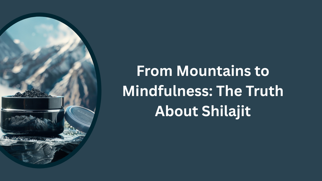 "From Mountains to Mindfulness: The Truth About Shilajit