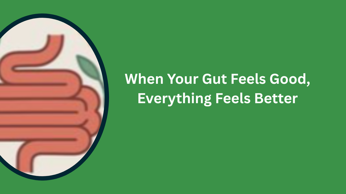 Herbal gut health supplement with Avipattikar Churna, Trikatu, and Isabgol