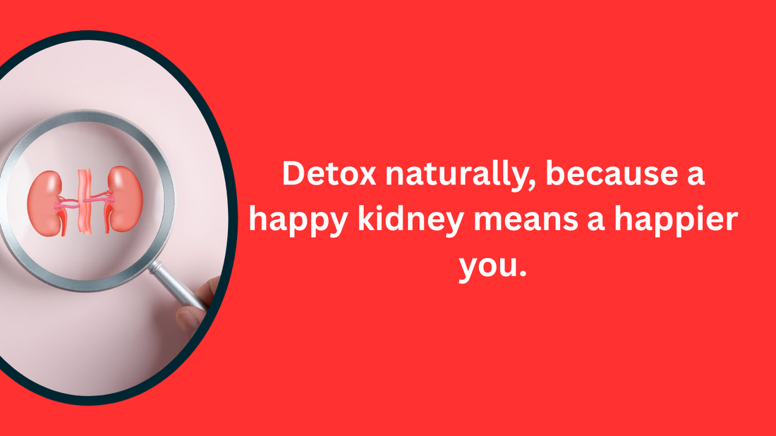 Herbal kidney detox concept with natural ingredients for a clean and healthy kidney.