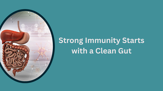 Strong Immunity Starts with a Clean Gut