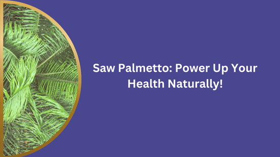 Saw Palmetto for Men: Nature’s Secret to Better Health - Bliss Welness
