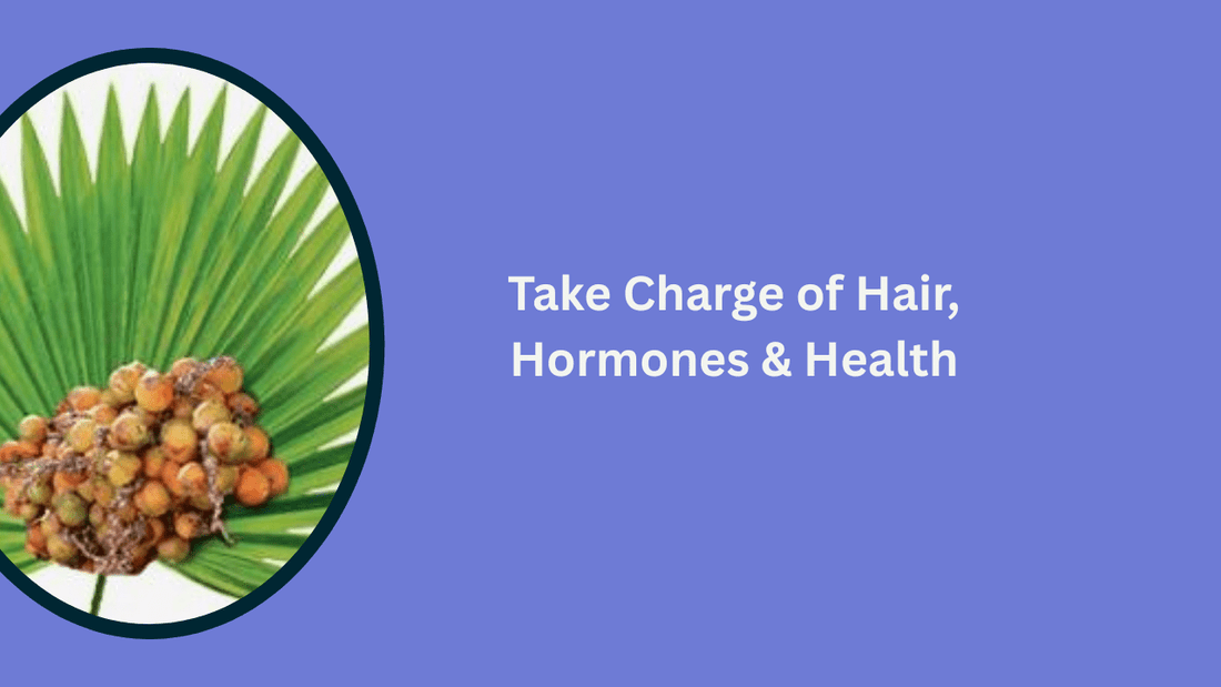 Saw Palmetto for Men & Women: What to Know - Bliss Welness