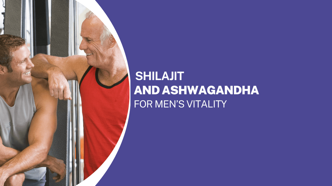 Shilajit and Ashwagandha for Men’s Vitality: Unlocking the Power of Ancient Remedies - Bliss Welness