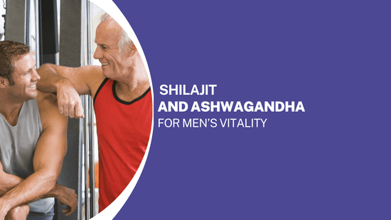 Shilajit and Ashwagandha for Men’s Vitality: Unlocking the Power of Ancient Remedies - Bliss Welness