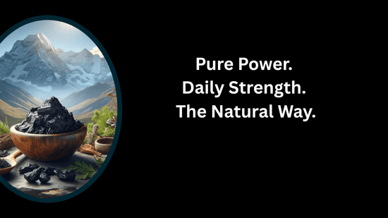 Shilajit Resin: Nature’s Ancient Elixir for Strength, Stamina & Vitality - Bliss Welness
