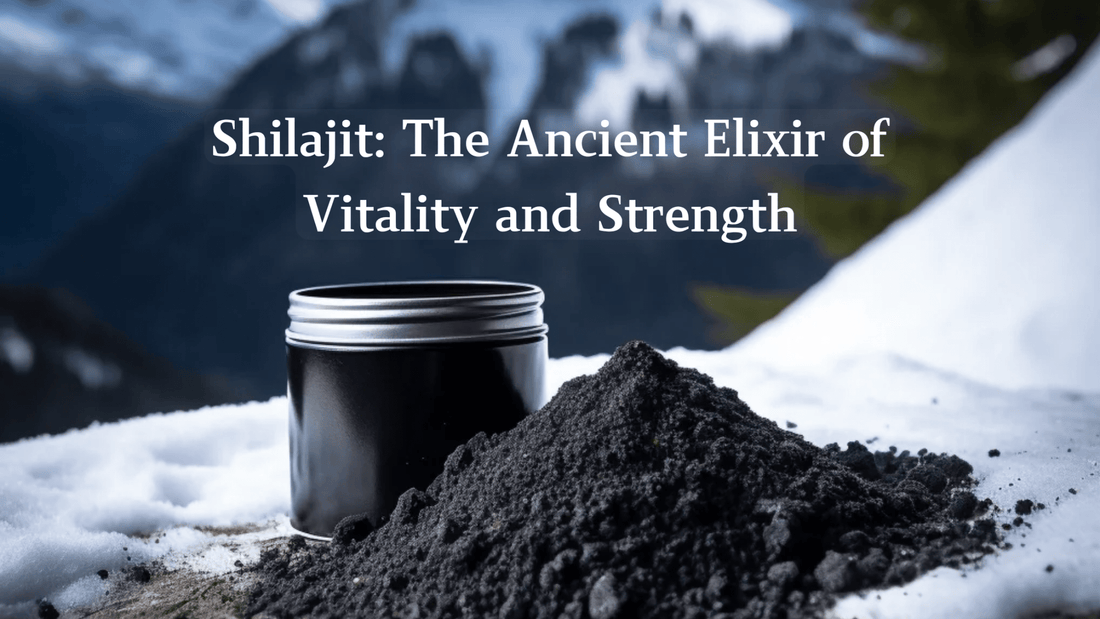 Shilajit: The Ancient Elixir of Vitality and Strength - Bliss Welness