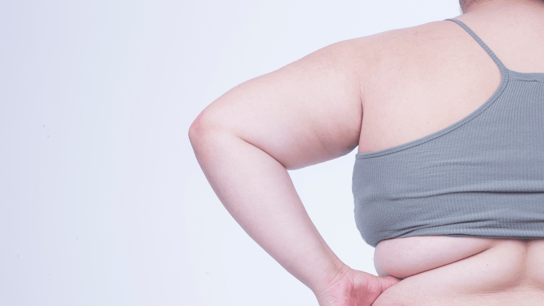 Stimulant-Free Body Fat Management with 80% Conjugated Linoleic Acid (CLA) - Bliss Welness