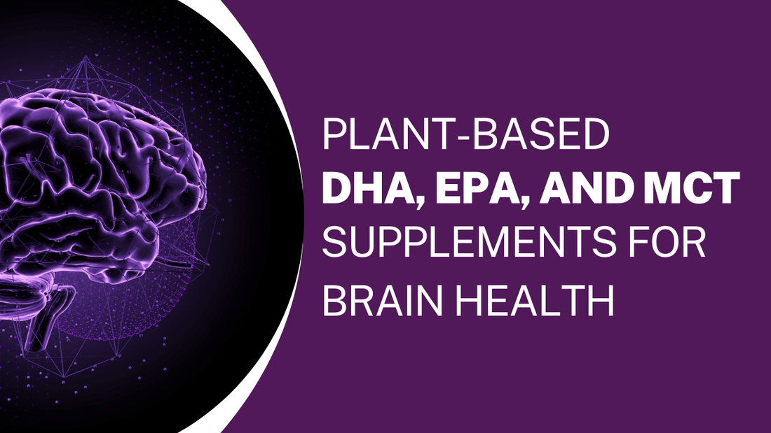 The Power of Plant-Based DHA, EPA, and MCT Supplements for Brain Health - Bliss Welness