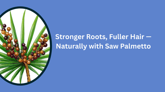 The Powerful Benefits of Saw Palmetto for Prostate Health & Hair Growth - Bliss Welness