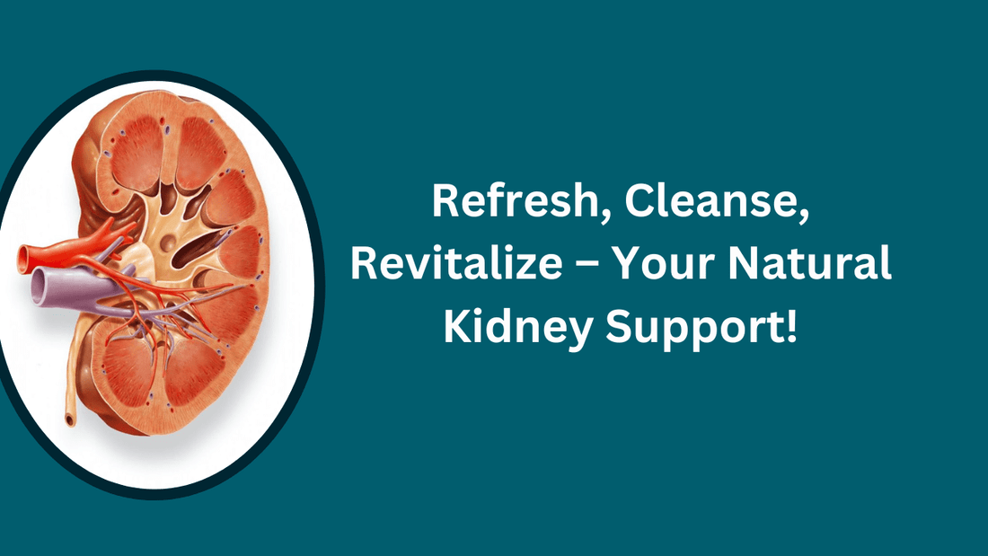 The Ultimate Guide to Kidney Detox: Revitalize Your Kidneys Naturally - Bliss Welness
