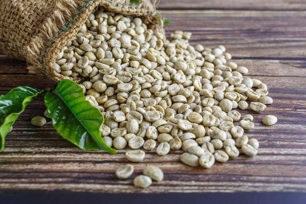 Green Coffee Bean Extract: An All-Natural Antioxidant with Numerous Health Benefits