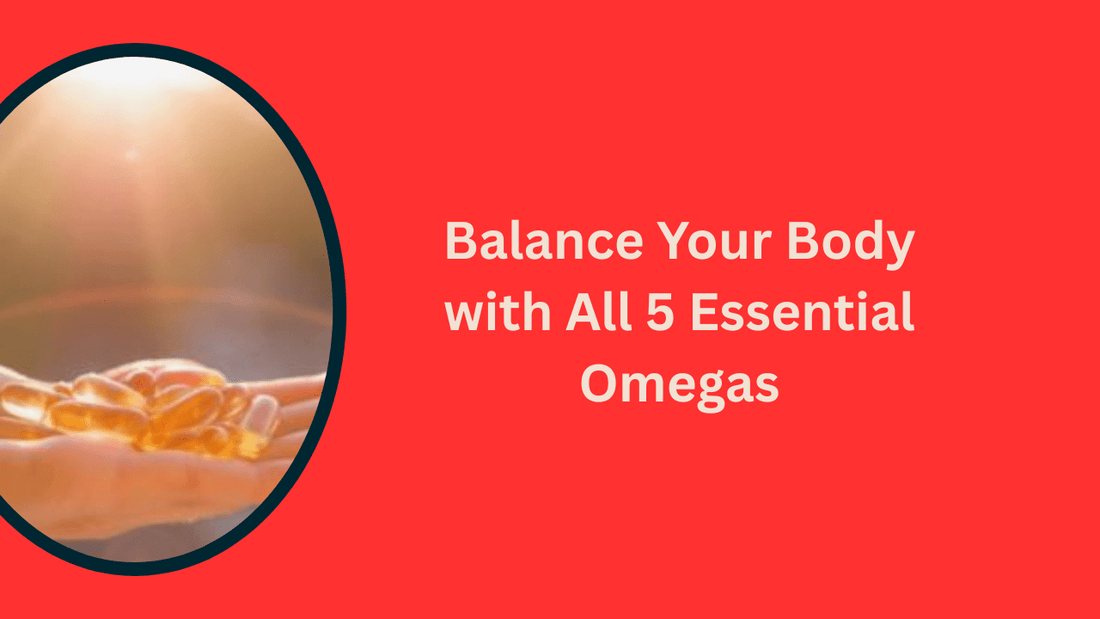 What Do Omegas Do? Why You Need More Than Just Omega-3 - Bliss Welness
