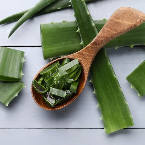 Aloevera