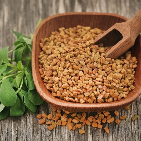 Fenugreek