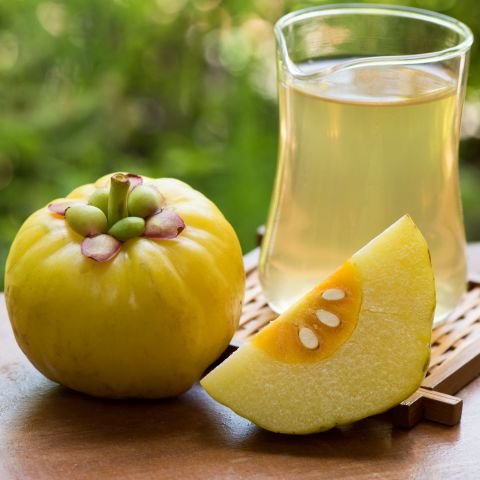 Garcinia Combogia Extract