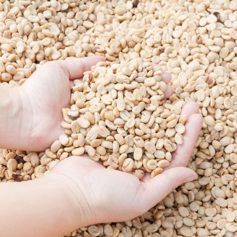 Green Coffee Bean Extract