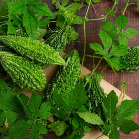 Karela Extract (Bitter Gourd)