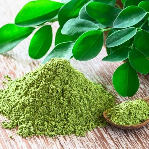Moringa