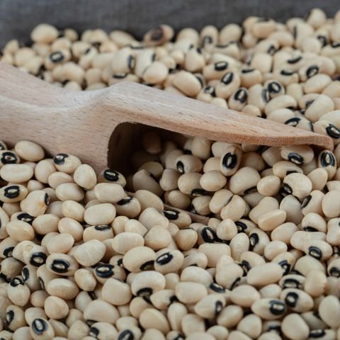 White Kidney Bean Extract
