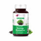 Bliss Welness ImmuneBliss Moringa Superfood Immunity Booster | Pure Moringa Fruit & Leaves Extract + Biopiperine | Antioxidant Blood Sugar Cholesterol Management Supplement - 60 Vegetarian Tablets