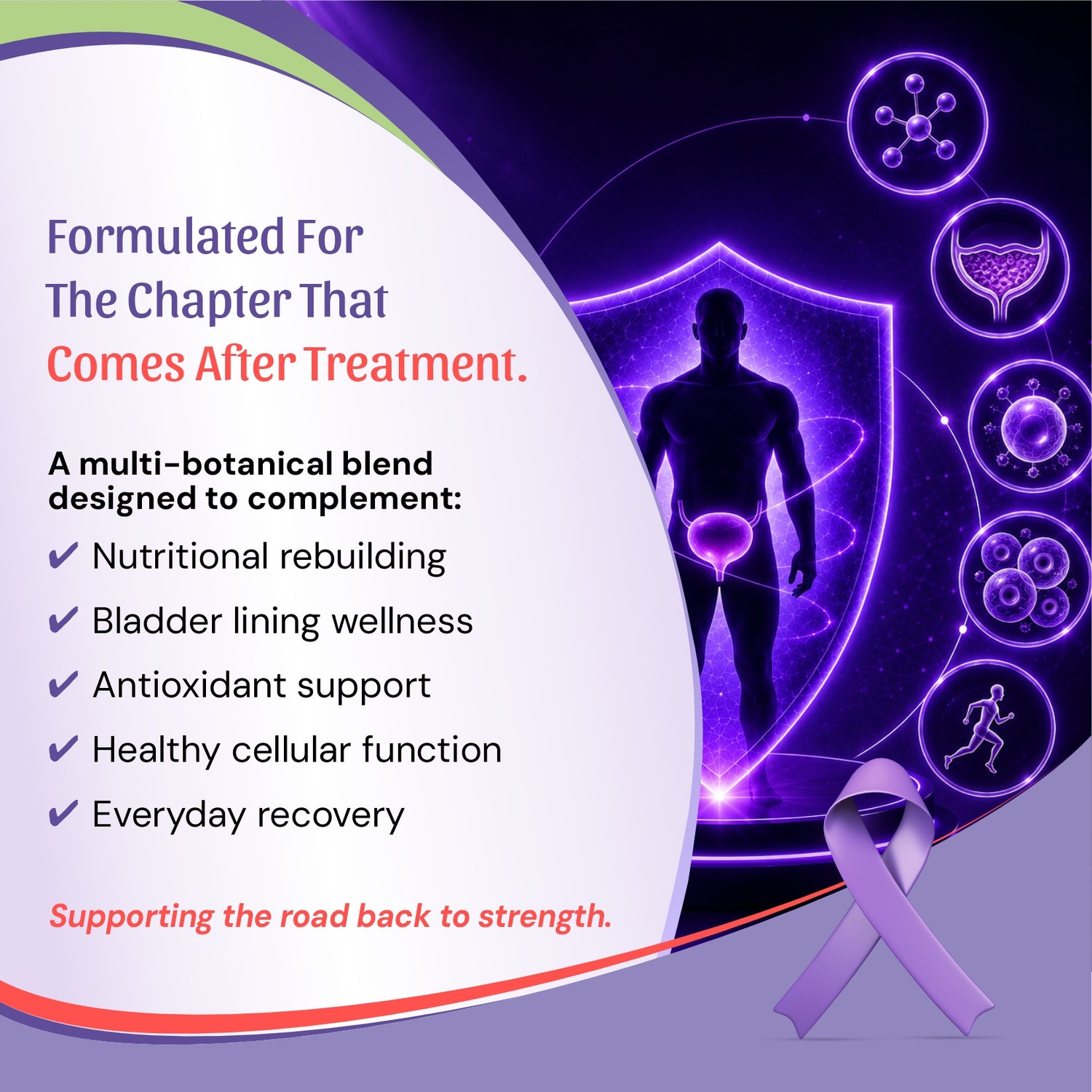 bladder health supplement, featuring a  human silhouette, glowing shield, molecular icons, and a purple awareness ribbon.  benefits including nutritional rebuilding, bladder lining wellness, antioxidant support, healthy cellular function, and everyday recovery.