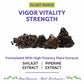 Bliss Welness Josh Bliss Natural Strength Vitality Vigor | Pure Shilajit Extract (1000mg) | Enhanced Stamina & Endurance Ayurvedic Herbal Supplement - 60 Vegetarian Tablets