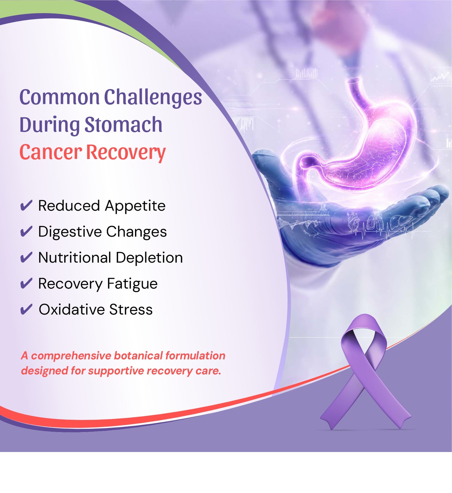 cancer recovery support care, featuring a stomach illustration glowing in purple over a hand, with text listing common challenges during stomach cancer recovery and a purple awareness ribbon on a lavender background.
